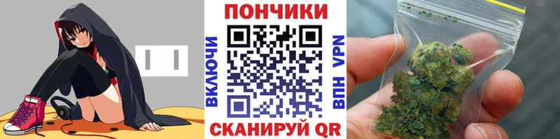 Как найти наркотики Бирюч Бошки Шишки  Галлюциногенные грибы  ГАШ  Амфетамин  МЕФ  Альфа ПВП 