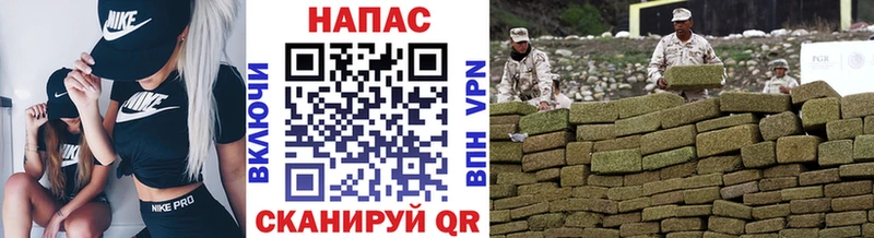 продажа наркотиков  гидра ссылки  Каннабис планчик  Бирюч 
